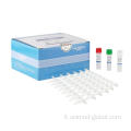 Kit PCR in tempo reale multiplex per quindici patogeni respiratori